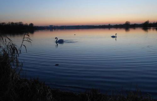 THE LAKE HOUSE: a delightful and peaceful retreat. - Foto 35