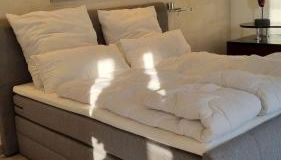 70 qm großes Apartment mit für Hunde geeignetem Garten zwischen Potsdam und Berlin - Foto 2