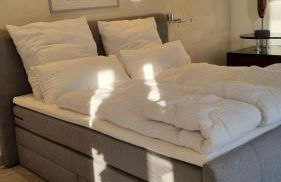 70 qm großes Apartment mit für Hunde geeignetem Garten zwischen Potsdam und Berlin - Foto 2