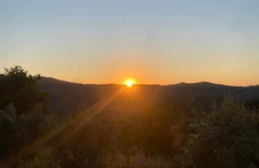 A Vossa Casa - Foto 10