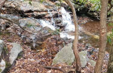 Serenity and Fun all in one in this Cozy Pocono Cabin - Foto 67