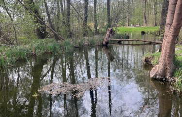 Domki na Wzgorzu - Foto 15