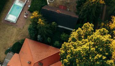 Kwintesencja Natury - Foto 2, Garden view