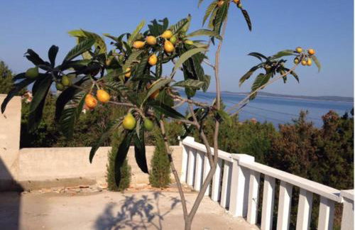 Villa Paradise Regained - Photo 21