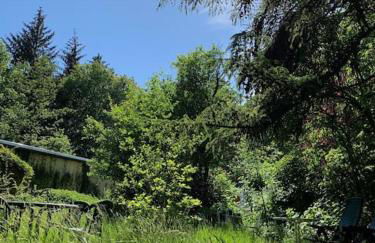 Sonnige Wohnung im Waldgebiet - Foto 16