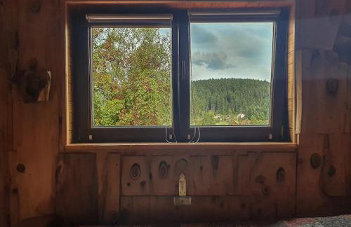 Kałamunka - Foto 40