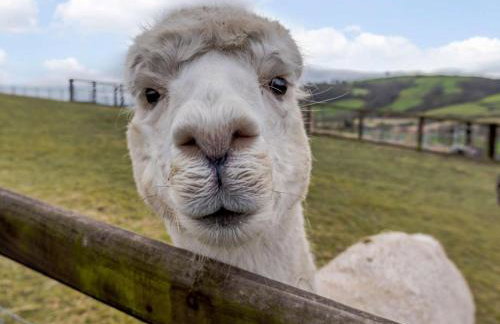 4 Bed in Newtown oc-86784 - Foto 25