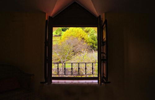 Finca Artienza - Foto 66