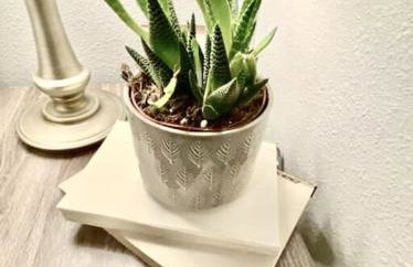 Boho Revival Modern Glam with AC in Downtown Albany - Foto 33