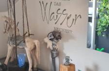 Studio 154 - Foto 12