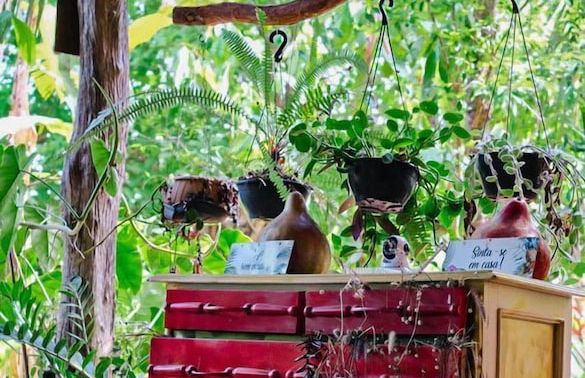 Pousada Pouso das Araras - Foto 48