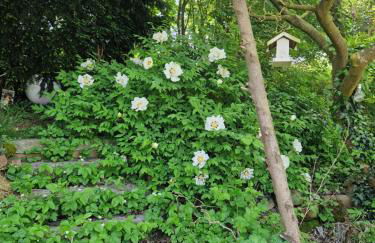 Wohnung mit Sauna, Garten & Schwimmteich - Foto 35