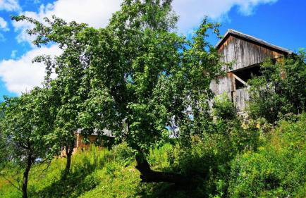 Wieś odNowa - Photo 45