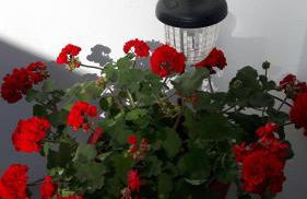 Cavos Seaside House - Foto 55