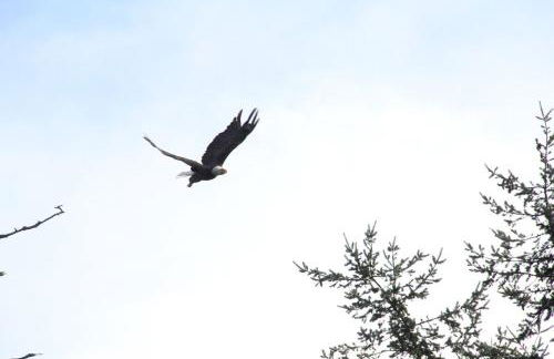 TideAway Farm on Private Island! Escape & Indulge Mother Nature! - Foto 37