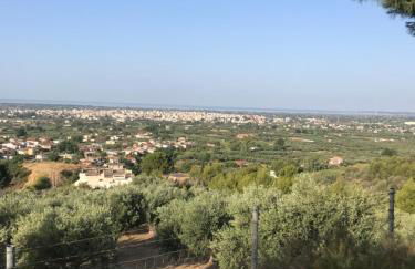 Mountain House near Pyrgos Ilias - Photo 16