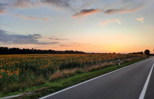 Ostseerauschen - Foto 15