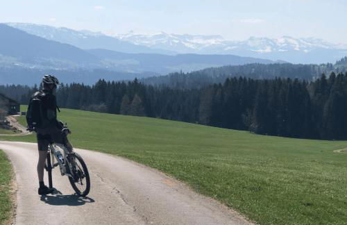 Angelas Ferienwohnungen Oberstaufen - Foto 34
