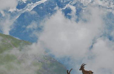 Chalet Arpitan - les Carroz - Grand Massif - Foto 46