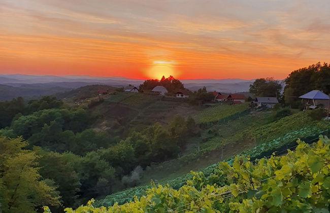 Vineyard cottage Soncni gric - Foto 38