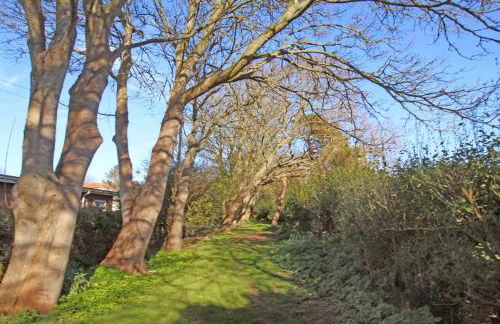 The Bee's Knees - Foto 22