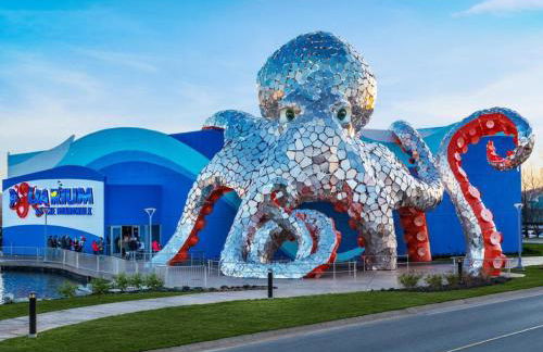 Pleasure Point at Kimberling Crossing - Foto 56