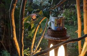 Diamantina, Curralinho Extração - Foto 35