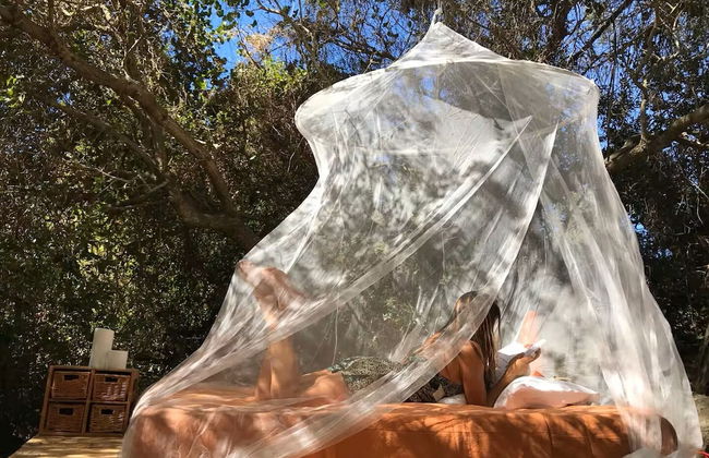 Biovilla Sustentabilidade - Foto 16