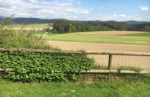 Apartmentanlage am Kellerberg - Foto 16