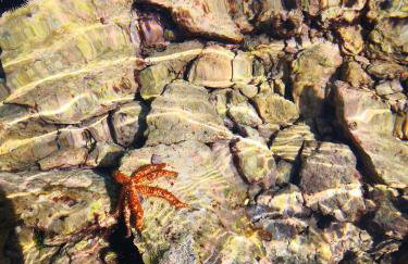 Holiday Lodge M3 - Foto 47