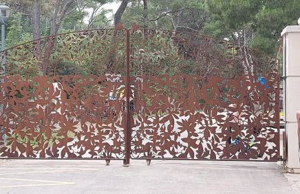 Little cherry - Photo 42