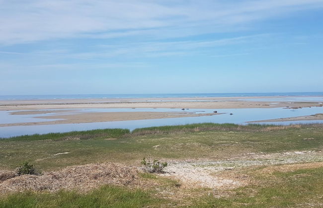 "Golubinka" - 500m from the sea - Foto 8