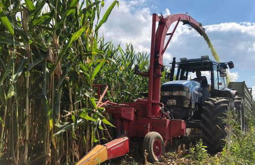 Ferien auf dem Eliesenhof - Foto 25