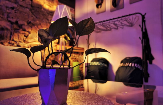 Loft Studio By Paradox - Photo 11