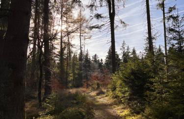 Traum FeWo mit Stil - Foto 25