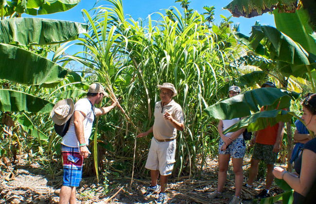 Dominican Culture Tour - Foto 6