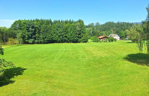 Pension Schneider - Foto 20