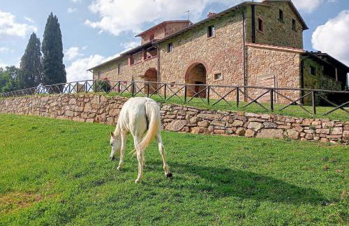 Antico Casale di Ferdinandi - Foto 35