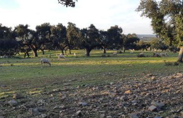 Casa Azul - Photo 42