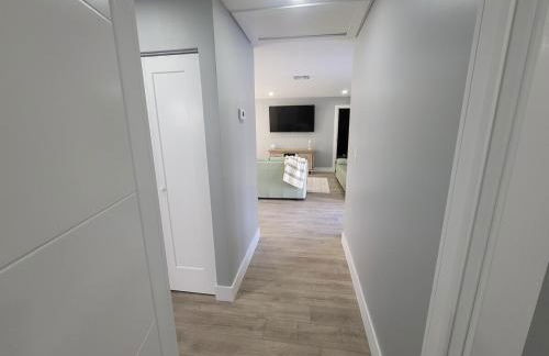 Jungle in the City! - Foto 19