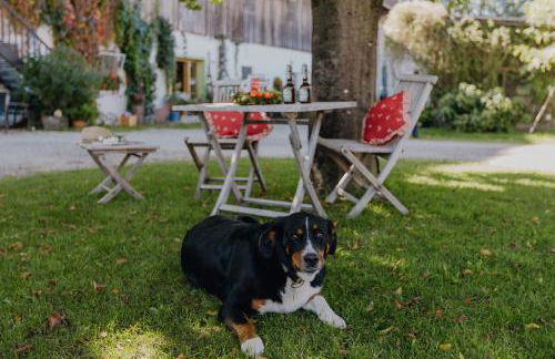 Bernwieserhof - Foto 25