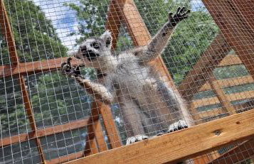 Agroturystyka Zielony Zakątek w Wiewiecku - Foto 23