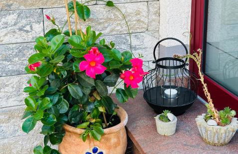 Nähe Mainz - Ferienwohnung - Apartment Breivogel in Wörrstadt - Foto 9