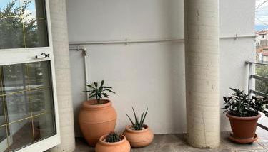 Frank house - Foto 3