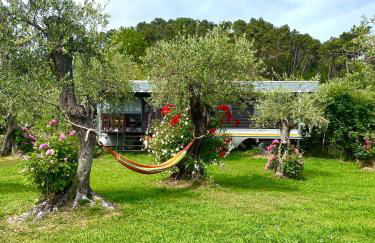 Azienda agricola Della Mezzaluna - Foto 22