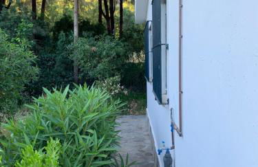 Finca Dos Vientos Tarifa - Foto 10