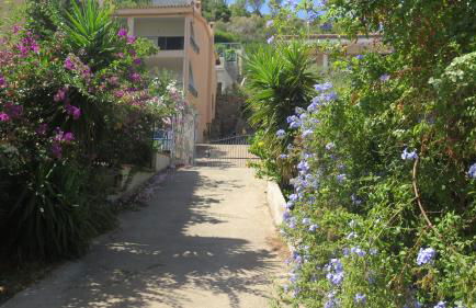 Casa con giardino sulla spiaggia - Foto 26