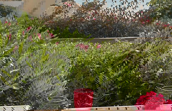 Monte Dourado Resort - Foto 17