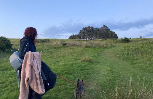 3 Guests - Pet Friendly - Grid Tree-House - Foto 21