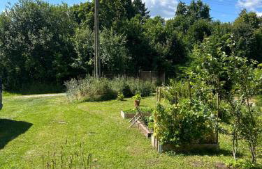 Bocianie Gniazdo I LUX RELAX Apartamenty - Foto 14